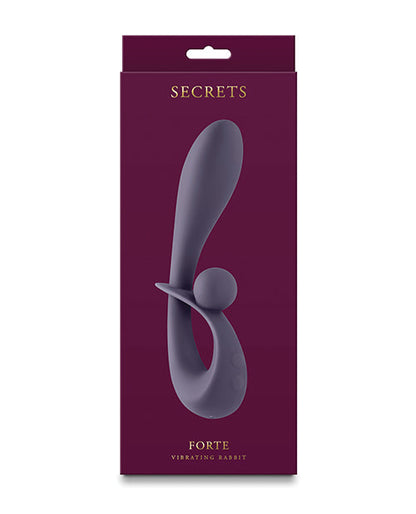 Secrets Rabbit Vibrator | Forte G Spot Vibrator | 6x 14-Function Gray Clit Vibrator | Best Vibrator for Women