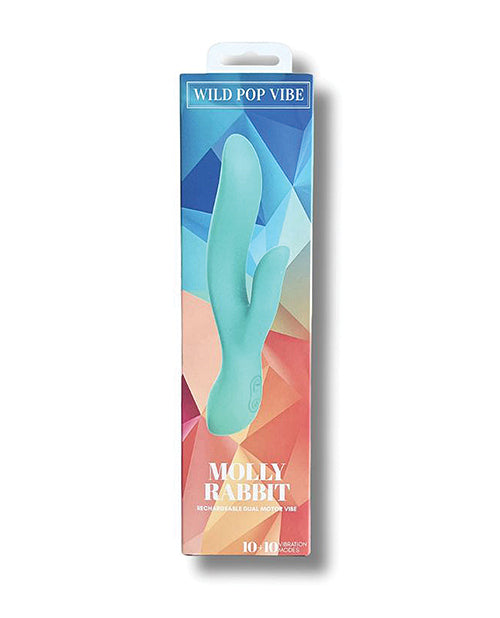 Wild Pop G Spot Vibrator | Molly Rabbit Vibrator | Aqua Dual Clit Vibrator | Best Vibrator for Women