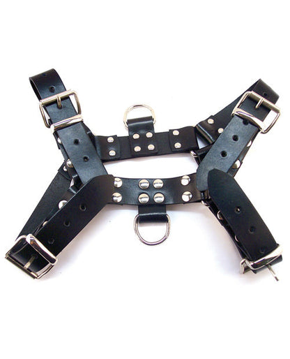 Rouge Over the Head Large Harness - Black